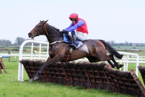 Aurora Vega 200425PML1354.jpg