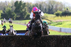 Haiti Couleurs 210425PML1641.jpg