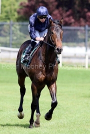 Charles Darwin 260425PML0416.jpg