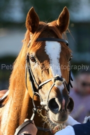 Kyprios 160525PML0609.jpg