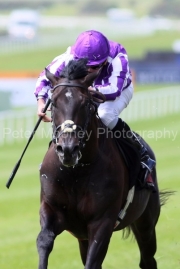 Albert Einstein 250525PML1182.jpg