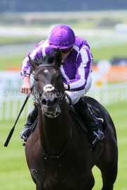 Albert Einstein 250525PML1183.jpg