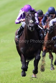 Albert Einstein 250525PML1164.jpg