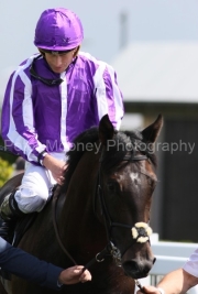 Albert Einstein 250525PML1197.jpg