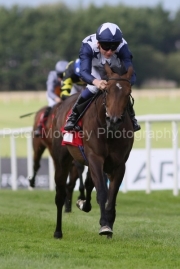 Havana Anna 250625PML0708.jpg