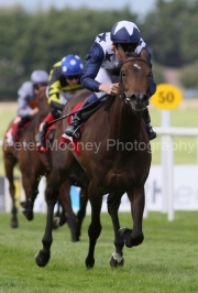 Havana Anna 250625PML0709.jpg