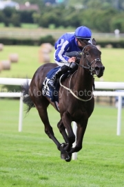 Luscious 250625PML0867.jpg