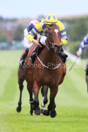 Ms Willpower 250625PML0808.jpg