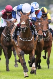 Masoun 280625PML0686.jpg