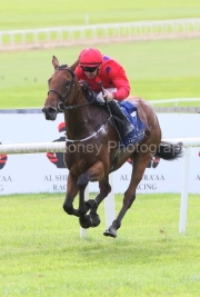 Queen Of The Bogs 200725PML1376.jpg