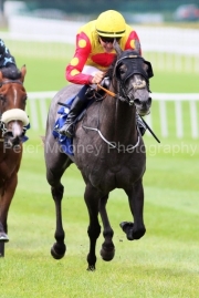Pink Oxalis 200725PML1146.jpg