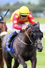Pink Oxalis 200725PML1153.jpg
