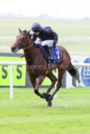 Convincing 230825PML1022.jpg