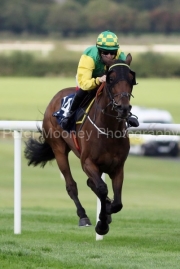 Areana 240825PML1361.jpg