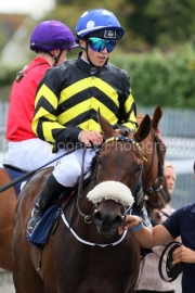 Dawn Romance 240825PML1264.jpg