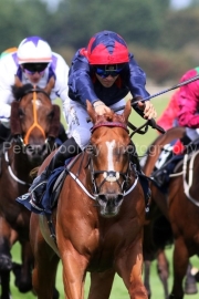 Fresh Fade 240825PML1292.jpg