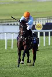 Wayne Hassett 021125PML0694.jpg