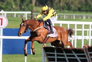 State Man 020525PML978.jpg