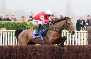 coneygree-130315pml1059