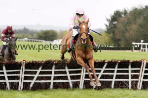 annie-power-020515pml572