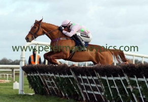 limini-300116pml0679