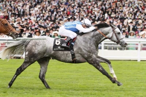 solow-120615pml702