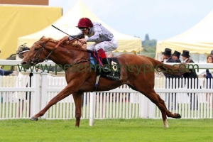 galileo-gold-140616pml0439 galileo-gold-140616pml0439