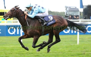 almanzor-151016pml0778