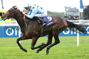 almanzor-151016pml0778 almanzor-151016pml0778