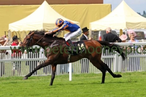 order-of-st-george-160616pml0621