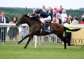 Henrythen-PML-0072326