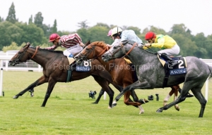 Vision-DEtat-PML-0094207