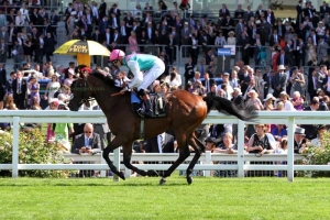 kingman-170614pml0403 kingman-170614pml0403