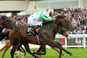 twilight-son-180616pml0486 twilight-son-180616pml0486