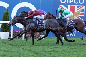 20 October 2018;   ROARING LION, Oisin Murphy up, winning The Queen Elizabeth ll Stakes at Ascot.      © Peter Mooney, 6, Cumberland Street, Dun Laoghaire, Co. Dublin, Ireland.    Tel:  00 353 (0)86 2589298