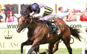 contributer-200614pml0191