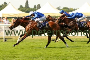barney-roy-200617pml0443 barney-roy-200617pml0443
