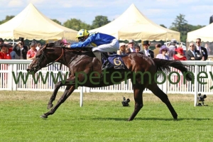 poets-word-200618pml0686 poets-word-200618pml0686