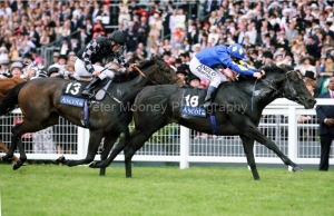 Kingsgate-Native-PML-0073716