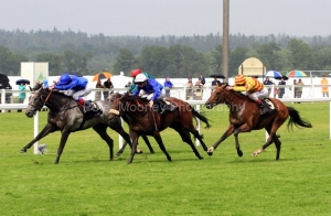 Colour-Vision-PML-00189325