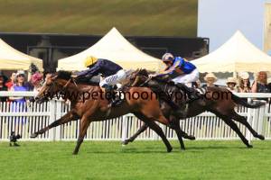 hillstar-pml-00129565 hillstar-pml-00129565
