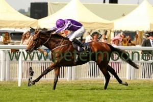 highland-reel-210617pml0440 highland-reel-210617pml0440