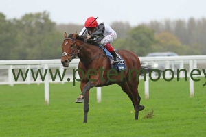 cracksman-211017pml0608 cracksman-211017pml0608