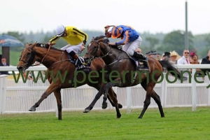 big-orange-220617pml0291 big-orange-220617pml0291