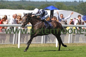 alpha-centauri-220618pml0473