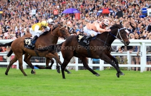 Black-Caviar-PML-00189826