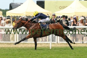 crystal-ocean-230618pml0267