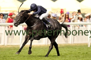 caravaggio-230617pml0474 caravaggio-230617pml0474