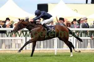 september-240617pml0812