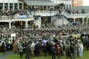 leopardstown-pm0001803